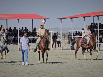 همایش کشوری اسب‌های اصیل در سلماس برگزار شد