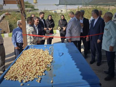 کشاورزی سلماس با رونمایی دستگاه پسته متحول شد